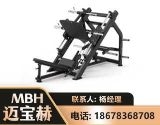 安阳45°倒蹬训练器