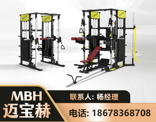 安阳多功能综合训练器