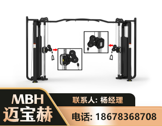 安阳大飞鸟训练器