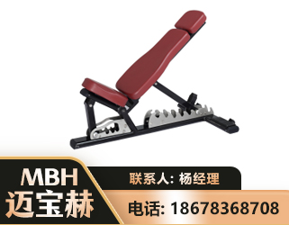 安阳可调哑铃椅