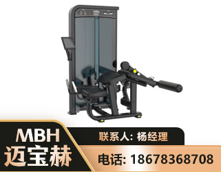 安阳卧式屈腿训练器