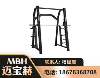 安阳史密斯机